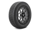 TRAIL-TERRAIN T/A GO