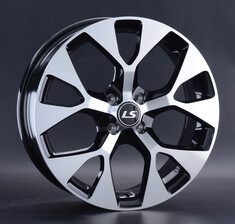 LS 1007 LS 1007